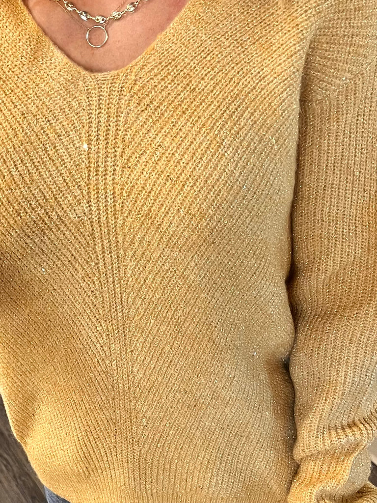 Becca Gold Sparkle Sweater